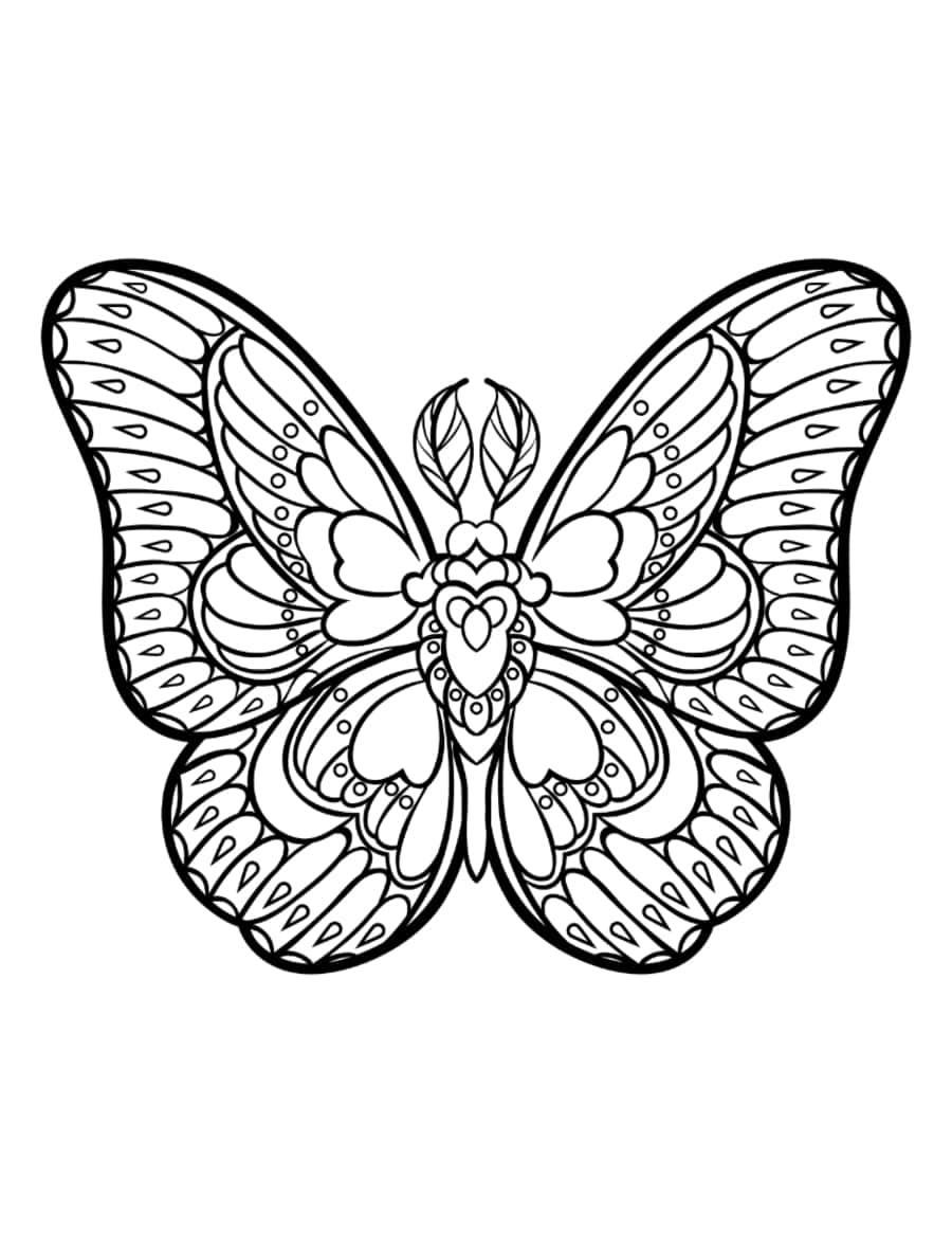 Butterfly Sylized Patterned Wings Feather Antennae Tracing Worksheets Pdf Free Vectors